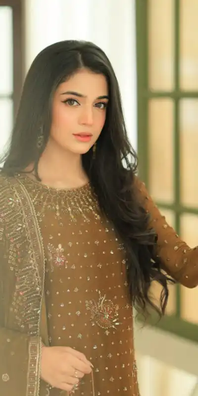 Shiny Brown Georgette Embroidery Work Salwar Suit