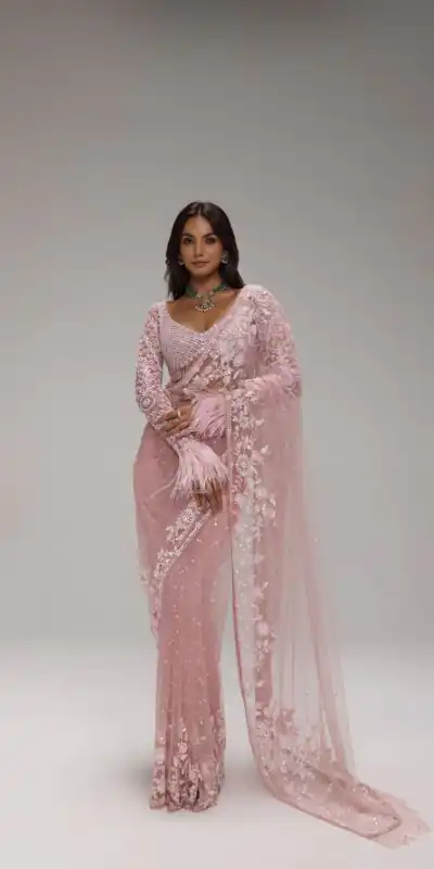 Unique Light Pink Butterfly Net Sequins Saree