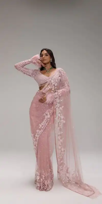 Unique Light Pink Butterfly Net Sequins Saree